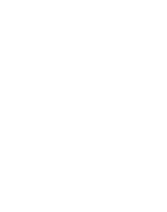 山东弗思特新材料科技有限公司
